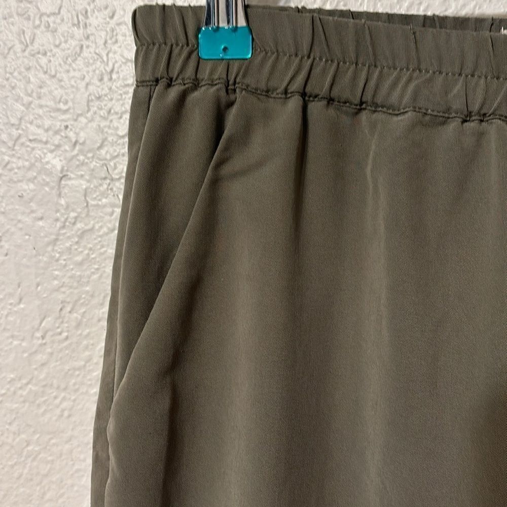 Marine Layer Pull On Pants Small - image 3